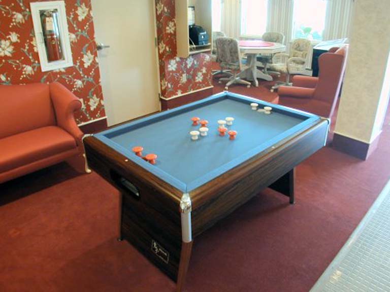 Billiards & Pool Senior Recreation Game Room